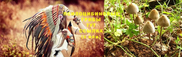 дмт Новокубанск