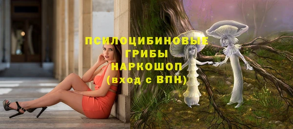 соль курить ск Гусев