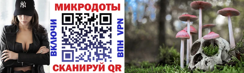 Галлюциногенные грибы мицелий  блэк спрут ссылка  Пикалёво 